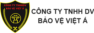 logo-web-cong-ty-bao-ve-viet-a