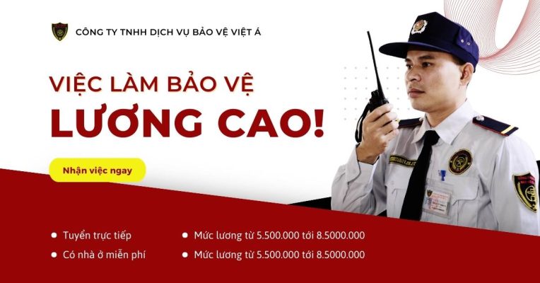 tim viec lam bao ve luong cao
