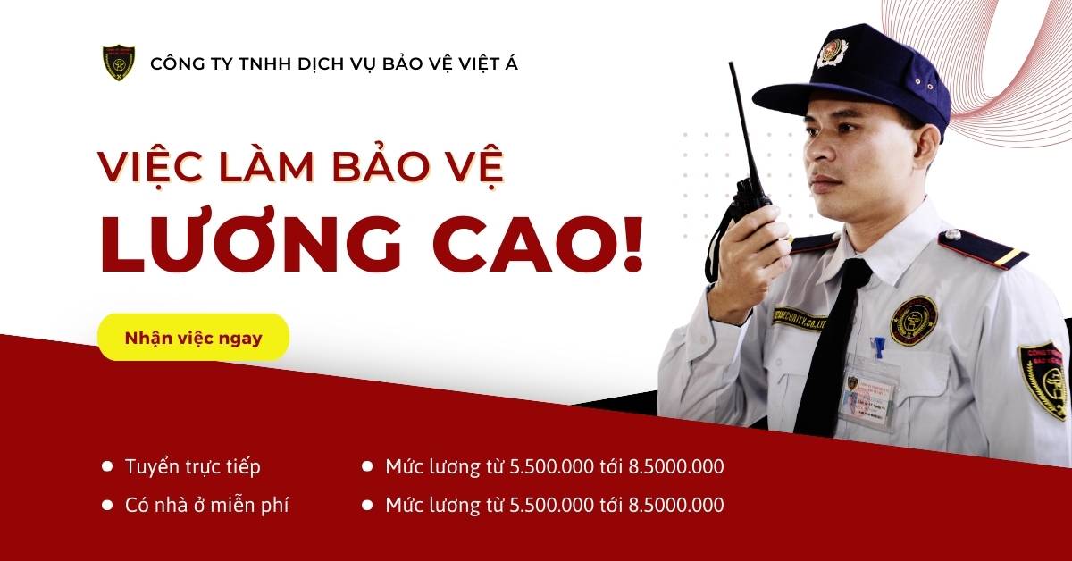tim viec lam bao ve luong cao
